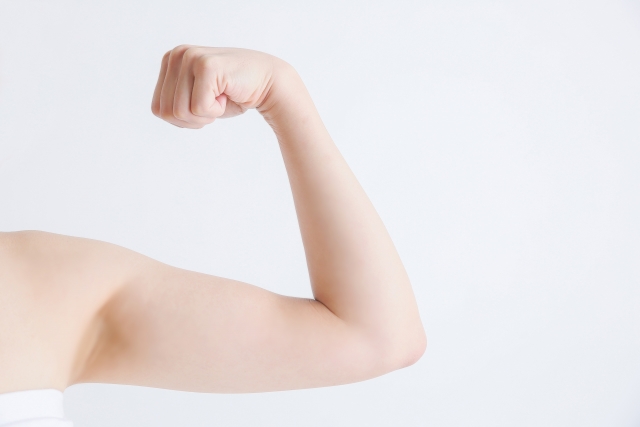 筋肉質の女性の二の腕